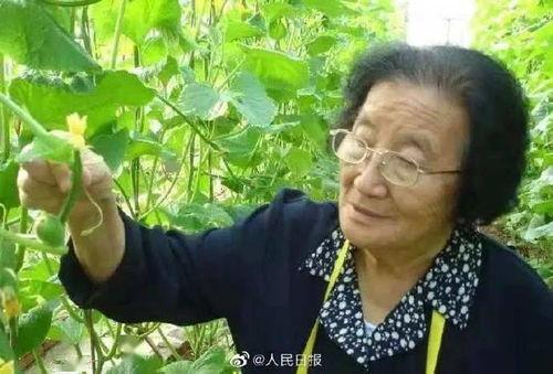 娱乐吃瓜酱有中国人,揭秘中国人在海外的生活点滴