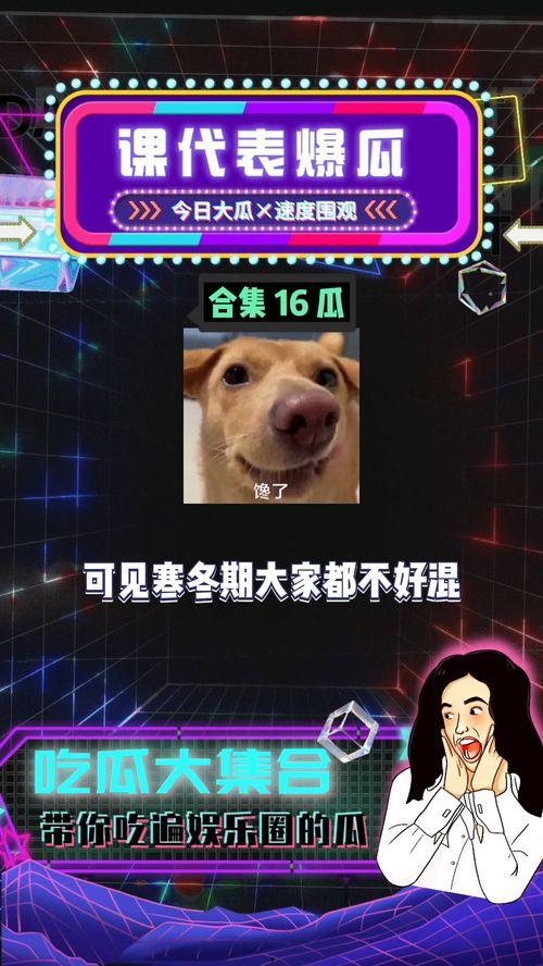 娱乐八卦吃瓜网站大全视频,揭秘各大吃瓜网站热门视频盘点
