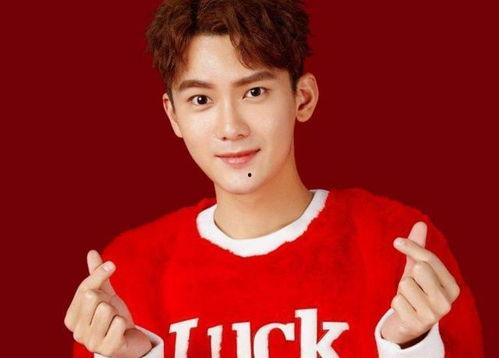 娱乐吃瓜酱团队,娱乐圈幕后那些事儿